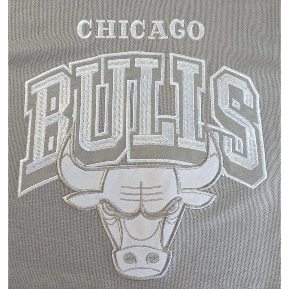 NBA ULTRA GAME CHICAGO BULLS EASTERN CONFERENCE GRAY + WHITE TANK‎ ADULT LRG NWT